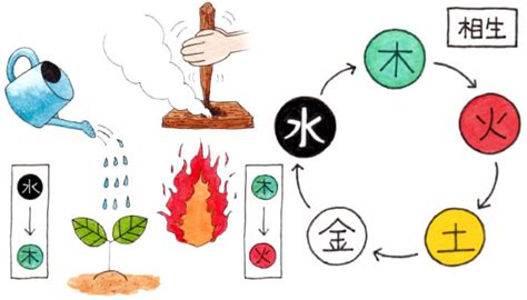 火日金水|第24回 木火土金水の正しい関係（相生と相剋） 